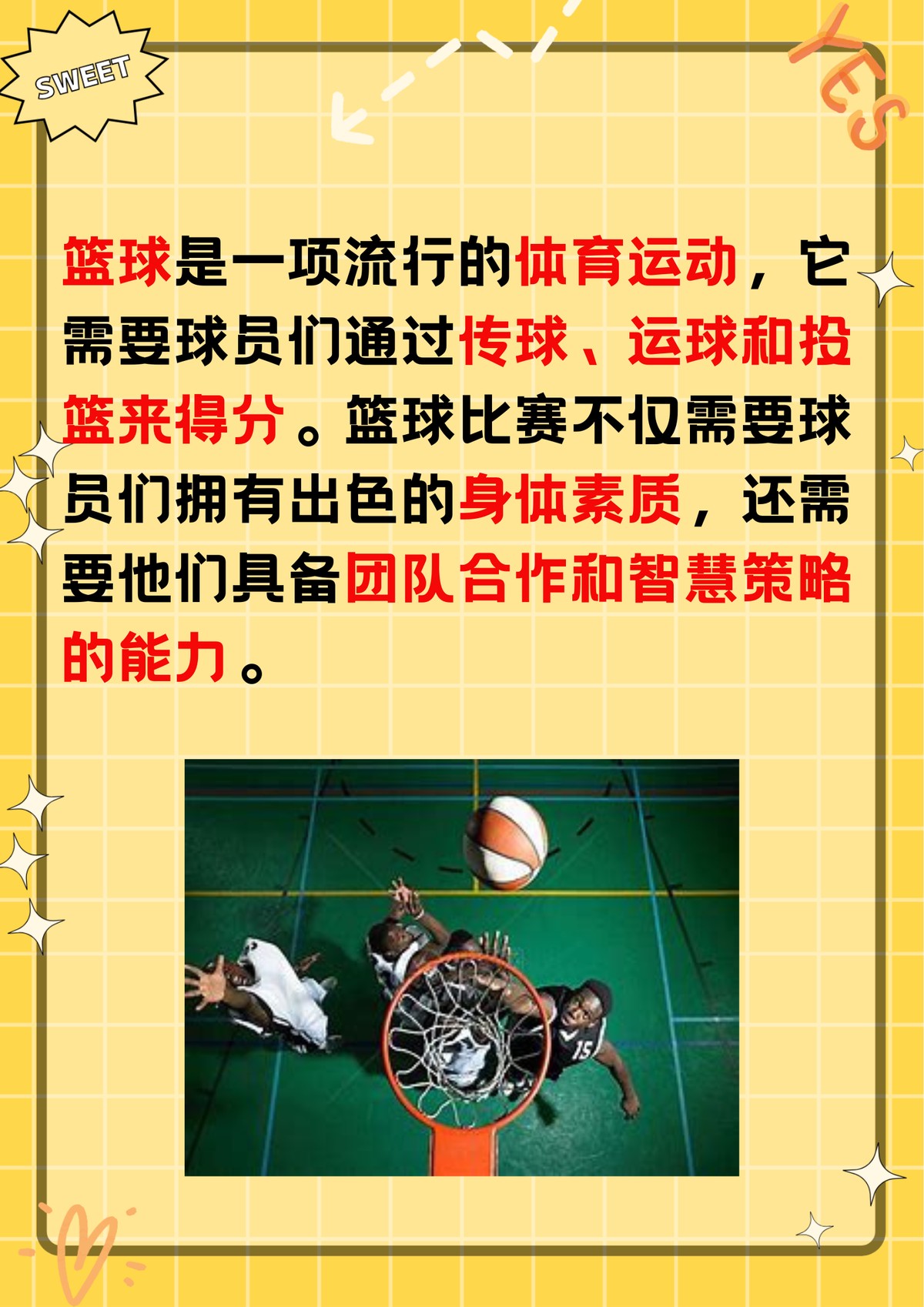 篮球训练主题有哪些项目